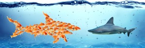 How to: Strengthen Teamwork in the Workplace